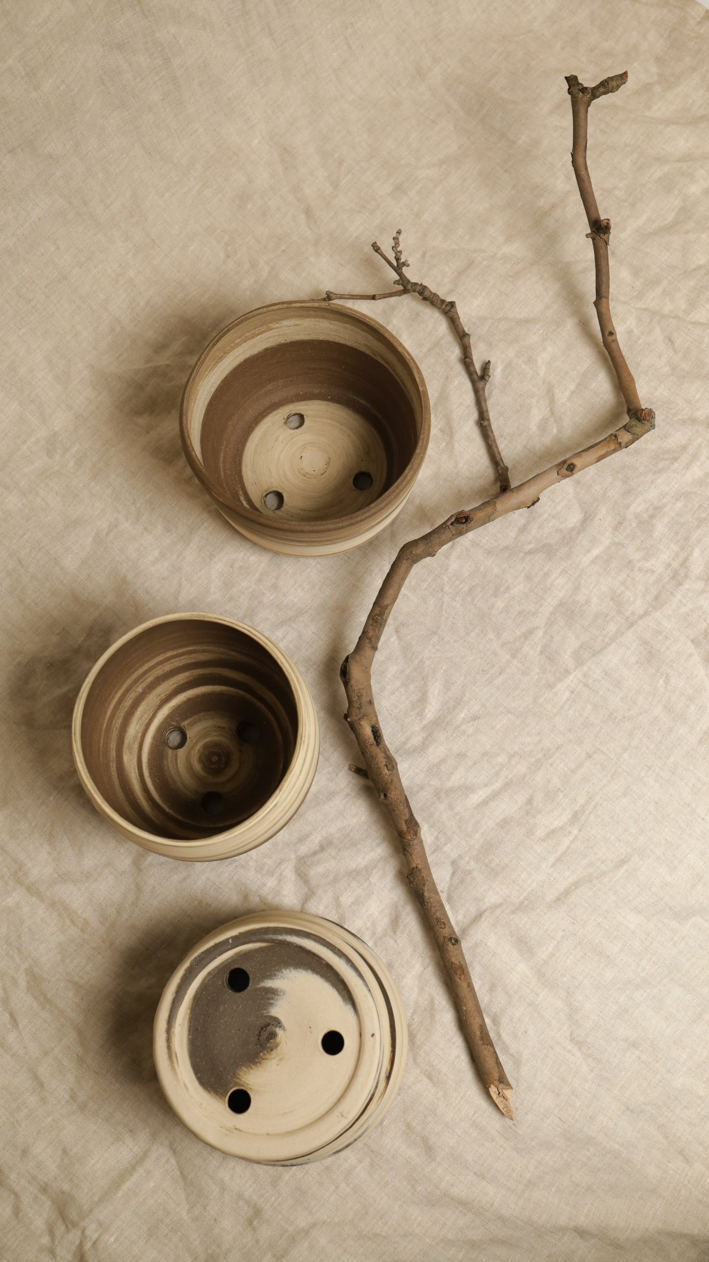 ‘plantee’ series