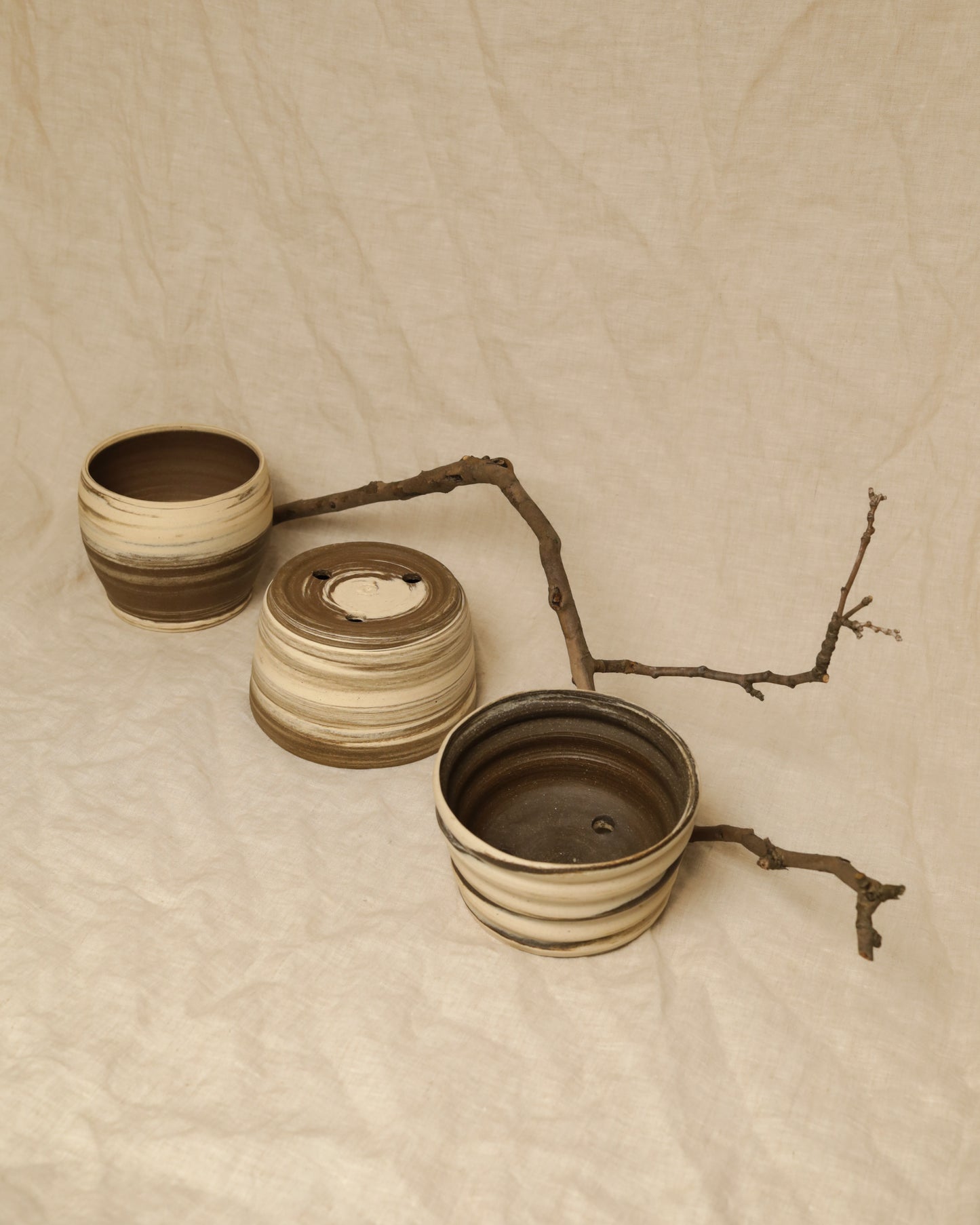 ‘plantee’ series